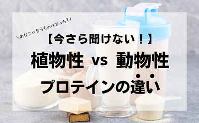 【今さら聞けない！】植物性 vs 動物性プロテインの違い